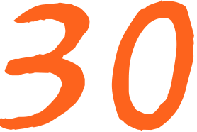 30大企業服務場景